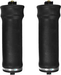 Freightliner Cascadia Century M2 FLD Air Spring